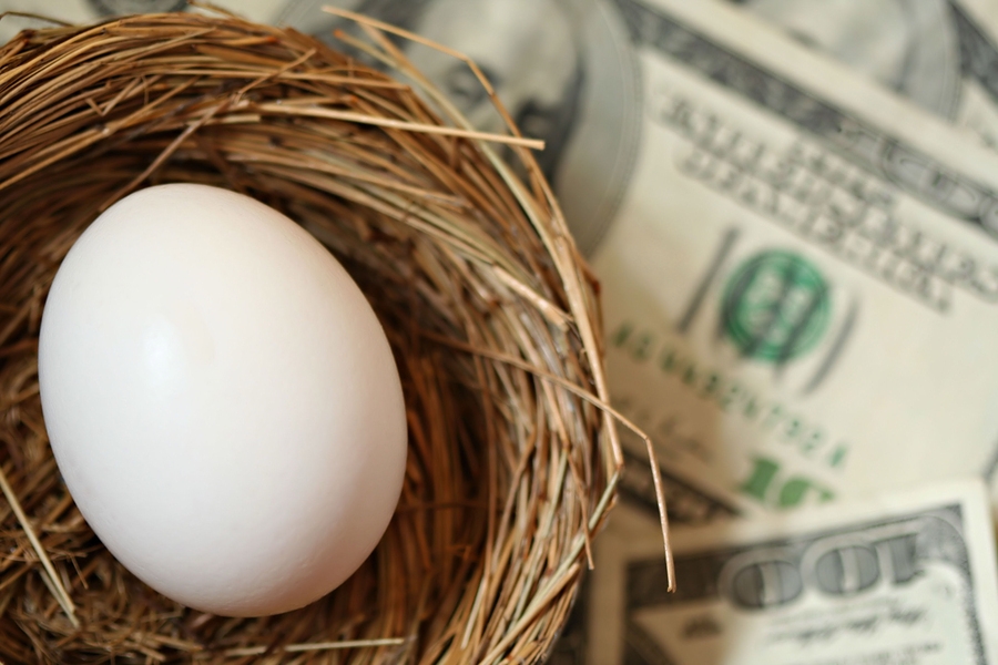 Nest-Egg-And-Money